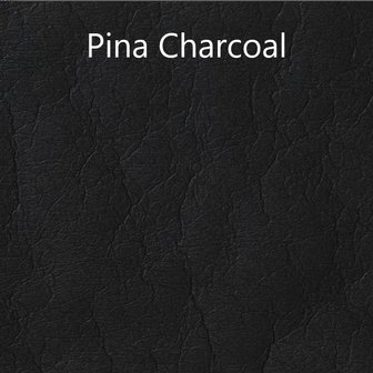 Pina Charcoal